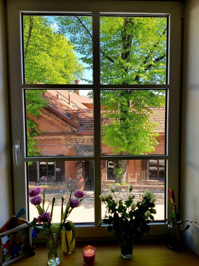 Exceptional Uzupis Bridge 3 Bedroom Apartment VNO Exteriör bild