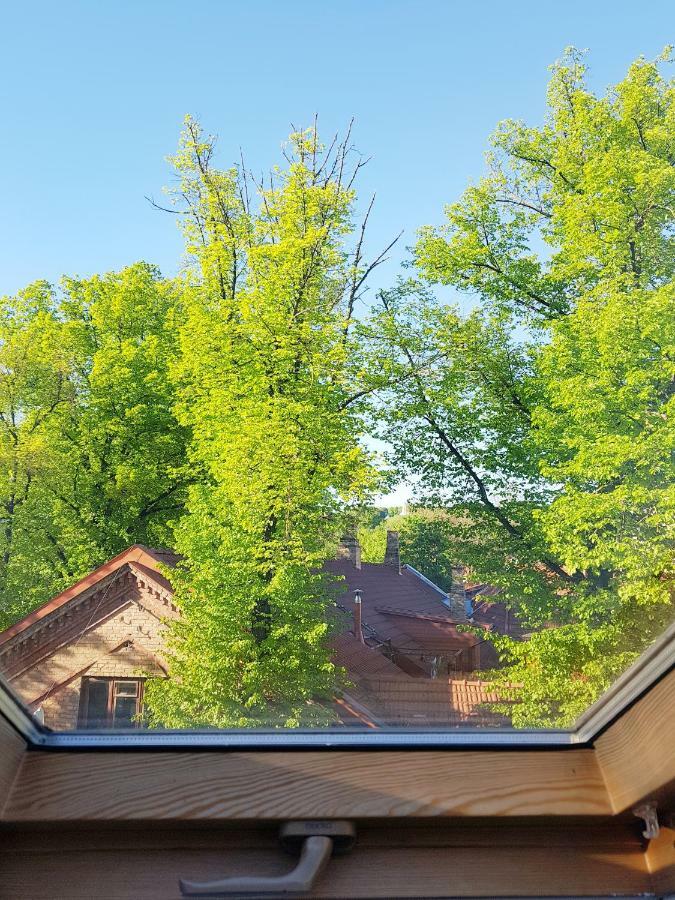 Exceptional Uzupis Bridge 3 Bedroom Apartment VNO Exteriör bild