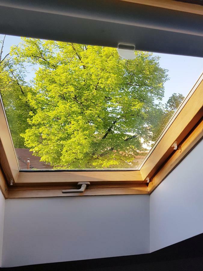 Exceptional Uzupis Bridge 3 Bedroom Apartment VNO Exteriör bild